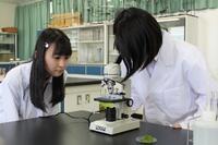 原形質流動の観察中