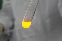 発光の研究結果